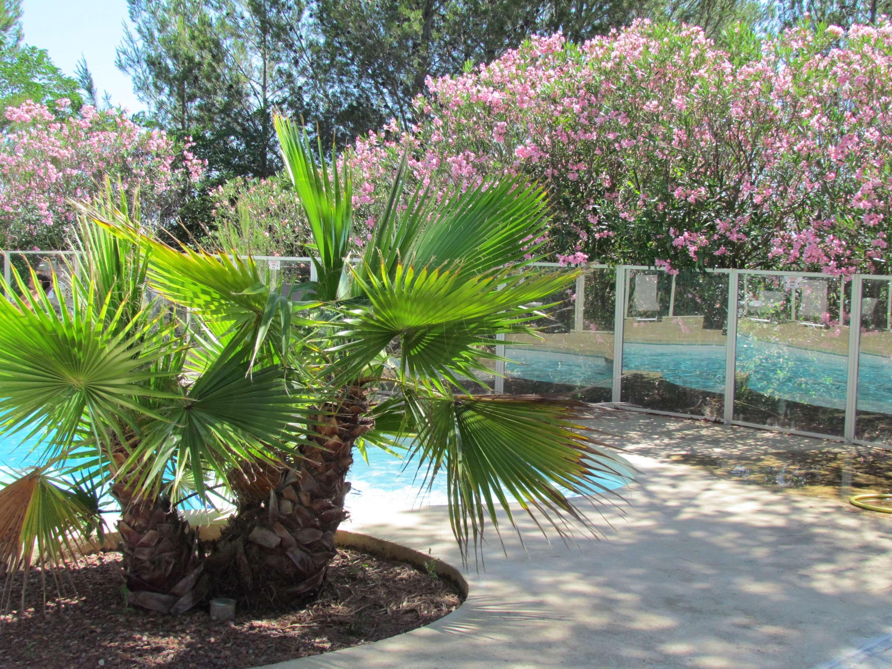 Saint-Clément Kyriad Montpellier Nord Parc Euromedecine מראה חיצוני תמונה
